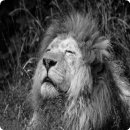 기억 여행- 즐거운 이미지