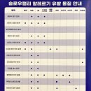 슬로우구월