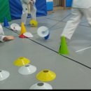 해바라기 태권도 이미지