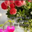 주말