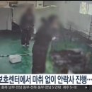 밀양 지자체 보호소 “마취 안하고 고통스러운 안락사“ 이미지