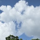 일흥식당 이미지