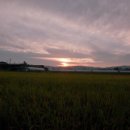 김자매 부엌 이미지