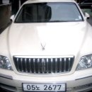 235소프트 이미지