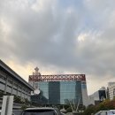 367 | [D+367] 10cm의 쓰담쓰담 방청후기