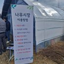 산림조합 | 강릉 산림조합 나무시장 후기