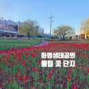 화명동 명진중학교 | 부산 화명 생태공원 튤립 꽃단지 주차 정보 2025