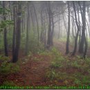 불정자연휴양림 이미지