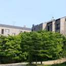 쌍용스타공인중개사사무소 네이버블로그