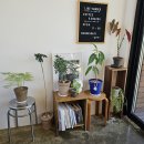 현충원로(유성-20) 이미지