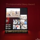 버스정류소_금호.한솔아파트 | 영국 국립자연사박물관 특별전(부산) 올해의 야생 동물 사진 작가전 후기