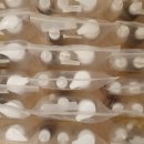 DIY 컬러테라피 천연화장품 이미지