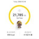 빅토리마트 이미지