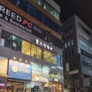 올데이독