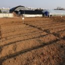 하나로농장-2 이미지