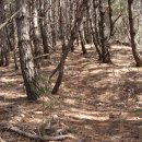 사2리경로회관 이미지