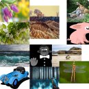 강화군국궁장 이미지