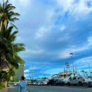 (유)준렌트카 이미지