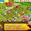 펫아일랜드 이미지