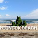 초시토속식당 이미지