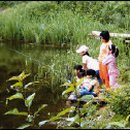 연곡입구  연곡마을 이미지