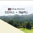 ★[제주도골프]타미우스cc & 캐슬렉스cc 1박2일[01월]340,000원~ 이미지