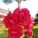 오늘은한의원 이미지