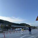 장성황룡강노란꽃잔치 축제장6 | 장성 황룡강 가을꽃축제 프로그램, 주차장 후기