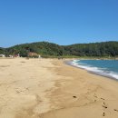 삼십팔점오 이미지