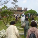 골롬반의원 이미지