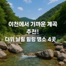 장락천 네이버블로그