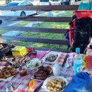 솔밭공원1 이미지