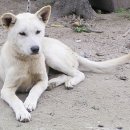 보화1로1 이미지