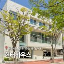 서울 근교 가볼만한 곳 안양예술공원 유원지 반려동물 동반 숲뷰 대형카페 힌터하우스 내돈내산