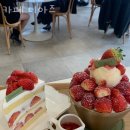 카페 디아즈 이미지