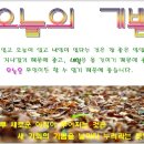 오늘의기쁨 이미지