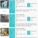 양주 동구협에 잡혀가있는 강동구 유기동물(5월6일~5월22일)..한시 속히!! 찾으세요!!! (사진추가) 이미지
