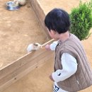 부리농장 | 경기도 아이랑 갈만한곳 실내동물원 먹이주기체험 용인 무럭무럭농장 다녀온 솔직후기