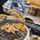 1984참숯구이