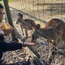 월드농장 이미지