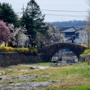 창녕 영산 만년교 이미지