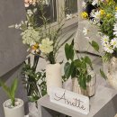 7513 | 압구정 꽃집 추천 아네트 플라워 안다즈 기념일꽃 맛집