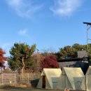 카페 개떼 이미지