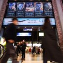 바글바글 이미지