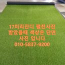 안산실내게이트볼장 이미지