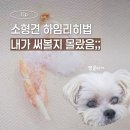 그날, 간식 | 강아지 질식 응급상황｜말티즈 하임리히법 직접 겪은 후기 (노령견 간식 주의)