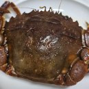 자매돌산갓김치 이미지