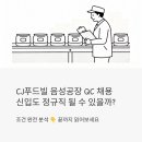 (주)삼표산업 충주공장 | CJ푸드빌 음성공장 품질관리(QC) 채용, 신입도 정규직 될 수 있을까? 조건 완전 분석