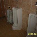 용현자연휴양림 야영장 이미지