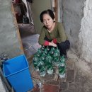 일등농약종묘도매상사 이미지